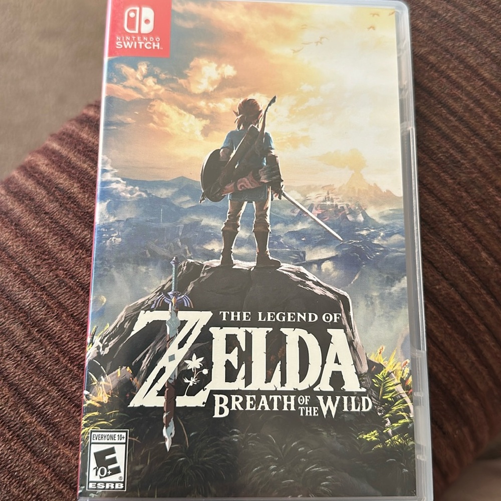 Nintendo switch Case ONLY
